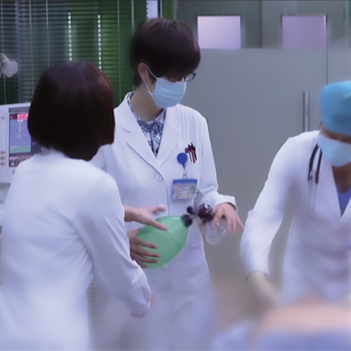 Informe-nos suas necessidades (ex.: quantidade, porto de destino).